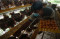Harga Telur Ayam Naik...