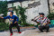 Dinasti Mini Merpati...