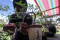 Budidaya Bonsai Bangkit...