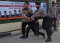 Polisi Bubarkan Aksi...