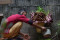 Bikin Geger, Begini...