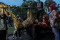Harimau Sumatera di...