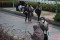 Indonesia Nol Zona Merah,...