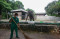 Taman Margasatwa Ragunan...