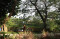 Taman Kota Surabaya...