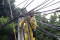 Penertiban Kabel Semrawut...