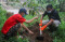 MNC Bank bersama MNC...