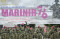 Korps Marinir Gelar...