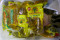 Harga Minyak Goreng...