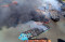 15 Kapal Nelayan Terbakar...