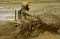 Bak Pembalap Motocross...