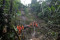 Bencana Longsor di Gianyar...