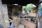 Puluhan Rumah Warga...