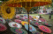 Warna-Warni Festival...