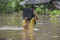 Banjir Luapan Air Sungai...