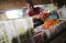 Harga Cabai Rawit Tembus...