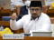 Menteri Agama Investigasi...
