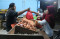 Sabar ya Bun, Harga...
