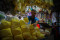 Harga Bahan Kebutuhan...