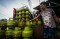 Pertamina Pastikan Harga...