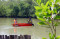 Edu-ekowisata Mangrove...