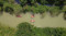 Edu-ekowisata Mangrove...
