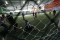 Menkominfo Cup 2022...