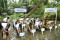 Penanaman 32 Ribu Pohon...