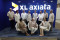 RUPST XL Axiata Setujui...