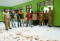 Ganjar Tinjau Sekolah...