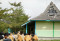 Ganjar Tinjau Sekolah...
