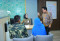 Harpelnas 2023, BSI...