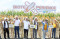 Panen Jagung Bioteknologi