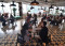 Gelar Business Matching...