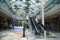 Grand Opening The Grand...