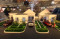 Pameran Investasi Properti...