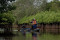 Melihat Konservasi Mangrove...