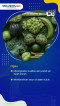 Manfaat Buah-Buahan...