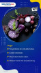 Manfaat Buah-Buahan...