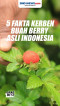 Kenali Lima Fakta Kerben,...