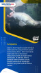 Tujuh Ikan Air Tawar...