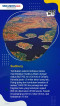 10 Asteroid Terbesar...