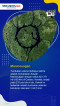 10 Asteroid Terbesar...