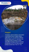 10 Asteroid Terbesar...