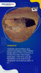 10 Asteroid Terbesar...