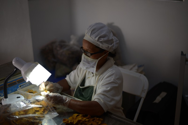 Kolaborasi Pengusaha Indonesia Atasi Sampah Makanan