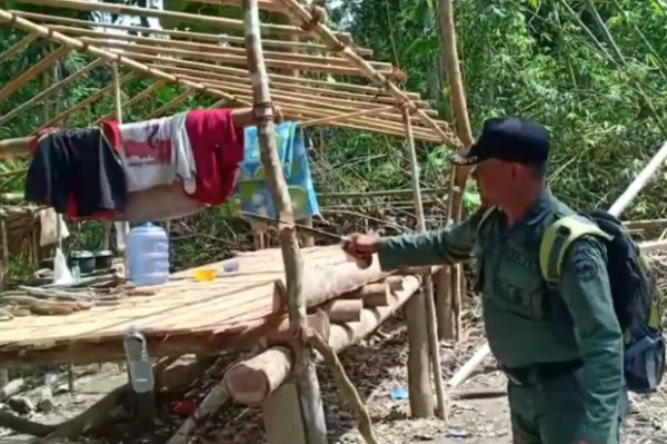 Illegal Logging Marak di Taman Nasional Tanjung Peropa