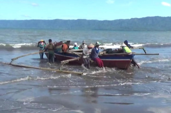 Buaya Muara Berkeliaran di Pesisir Kota Agung, Sudah Puluhan Orang Digigit