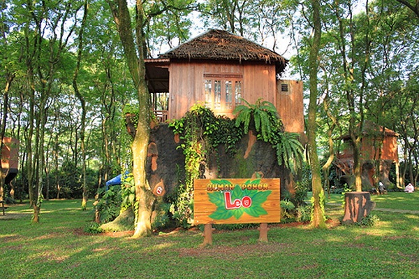 Mau Staycation di Rumah Pohon? Nikmati Sensasinya!