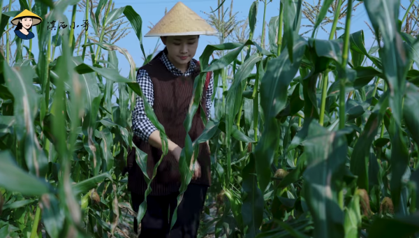 Kangen Kampung Halaman? Channel YouTube Ini Bisa Jadi Obat Buat Kamu yang Gagal Mudik